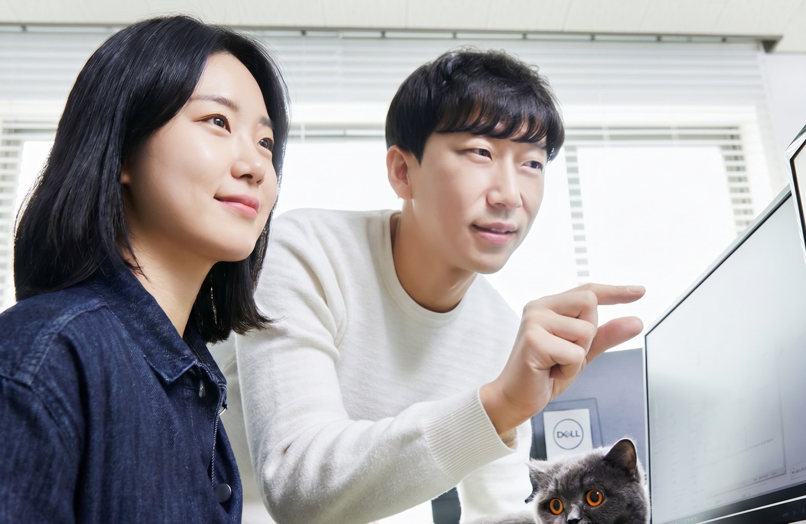 애드멘토 브랜딩 사례